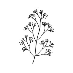 Minimal Flower Line Art. Simple floral illustration in black and white, featuring delicate buds or blossoms.
