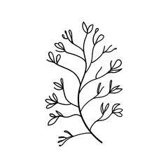 Minimal Flower Line Art. Simple floral illustration in black and white, featuring delicate buds or blossoms.