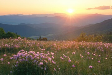 Obraz premium Scenic mountain meadow with wildflowers at sunset for wallpaper, backgrounds, and travel inspiration.