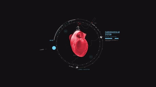 Digital hart pumpinganimation  in 4k sci fi screen element in 4K