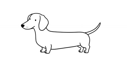 Cartoon dachshund illustration