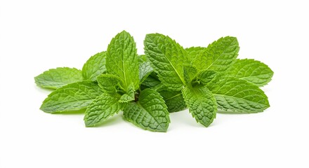Lush Green Mint Leaves: Fresh, Vibrant Sprigs of Peppermint for Culinary and Medicinal Use. High quality professional stock photo suitable for commercial use.