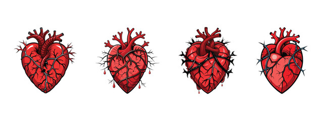 A Set of Main imagery  heart  realistic human heart vector bundles 