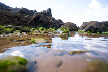 Rocky coast of Salvador, Brazil. Stormy weather.