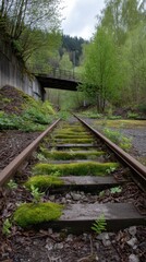 Abandoned Railroad Tracks with Mossy Wooden Ties Under Bridge in Lush Forest Landscape