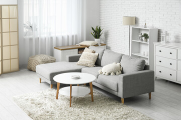 Interior of light living room with table and sofa