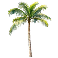 Obraz premium Single tropical palm tree watercolor painting illustration sea art hand on transparent background