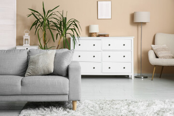 Interior of light living room with chest of drawers and sofa near beige wall