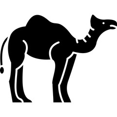 Camel Icon
