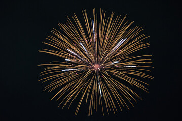 Festive fireworks. Fireworks in the sky.