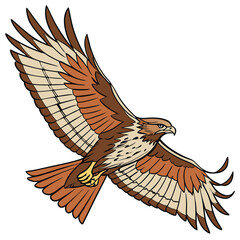 a majestic red tailed hawk in mid flight wings f