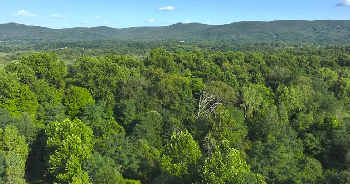 Daytime aerial video over a stretch of interstate, highway, through a green vegetative area. 