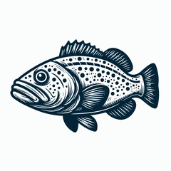 Fototapeta premium grouper fish vector illustration