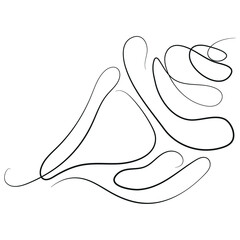 conch icon drawn with a thin line in line art style, for various marine designs and company logos