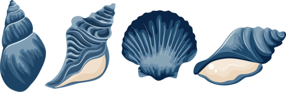 set of various blue icons of seashells, clams, shells and seashells, for various summer or marine designs