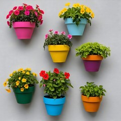 Colorful Flower Pots on White Wall