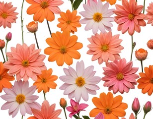 Obraz premium Vibrant Orange and Pink Flowers
