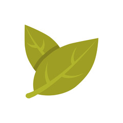 Illustration of two olive green leaves overlapping each other with visible veins on a white background