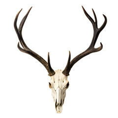 Deer Skull: A stark and captivating image featuring a deer skull, emphasizing its intricate bone structure and the powerful presence of the antlers, a symbol of untamed nature.