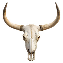 Ancient Skull with horns: Close-up of the weathered remains of an ancient bull skull, highlighting its prominent horns and textured surface. Symbol of the Wild West, ruggedness and durability. 