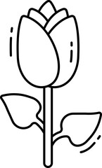 tulip illustration on a white background     