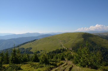 Peaceful landscape featuring lush green hills and a clear blue sky, evoking a sense of tranquility and connection with nature in a beautiful outdoor setting. Carpathian Mountains, Ukraine