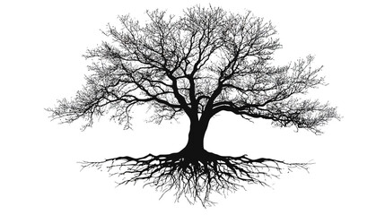 Old tree silhouette with roots vector isolated on white background  -  