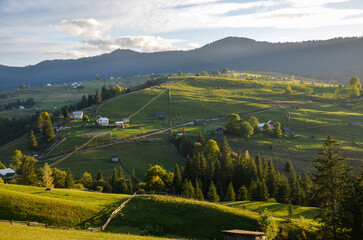 Obraz premium Idyllic hillside landscape featuring lush green meadows, scattered wooden farmhouses, and forested areas, captured under the soft sunlight during tranquil day in the countryside. Carpathians, Ukraine