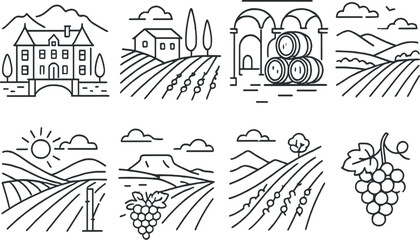 Vine growing icon set. Linear style. Vector icons
