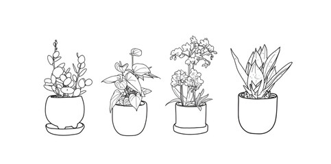 : set of ornamental plant icons, ornamental plant illustrations. hand drawn ornamental plants, wedding decorations, special day greeting cards for plants.