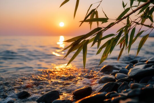 Aerial sunset view over ocean with rocky shore and solitary tree silhouetted against colorful sky.