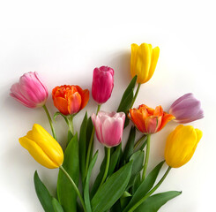 Colorful tulips flower bouquet isolated on white background. Floral banner. Greeting card, Valentines day, 8 march, Womens day, Mothers day, top view