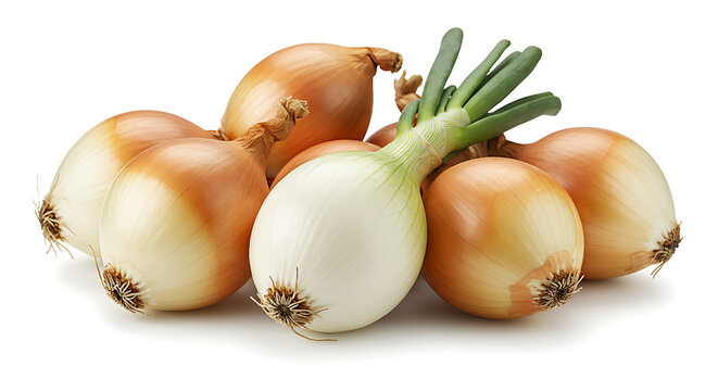 Cambray Onion isolated on white background
