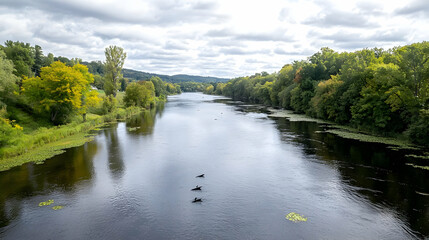 Serene River Landscape With Ducks And Autumn Colors