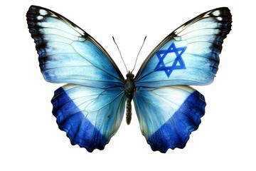 Butterfly with flag image on white background
