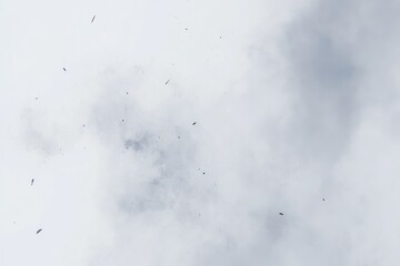 Fototapeta premium Diffused grey particles in a hazy white background