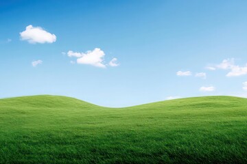 Fototapeta premium green grass hill and blue sky
