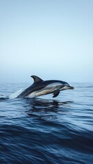 Fototapeta premium Playful dolphin leaping above calm ocean water under clear sky conveying freedom and grace