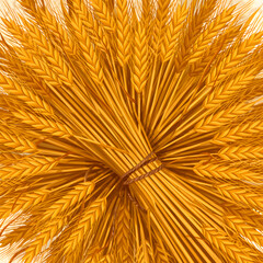 Obraz premium Golden Wheat Bundle Sheaf Tied for Traditional Harvest Celebration