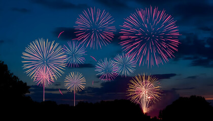 Colorful Fireworks Exploding In Night Sky Over Silhouetted Trees Creating Festive Visuals