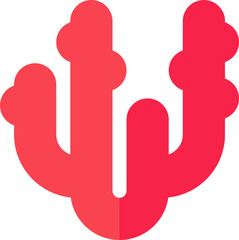 coral illustration on a white background     