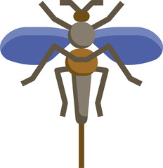 fruit fly illustration on a white background    