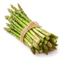 Fresh Asparagus Bunch Tied with Twine