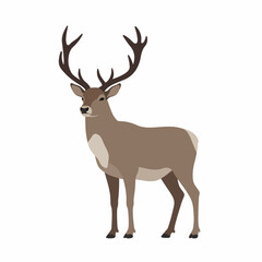 Majestic Stag With Antlers Isolated on White Background