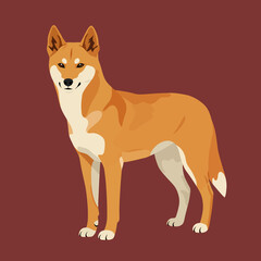 Naklejka premium Alert Australian Dingo Standing Tall On Brown Background Image