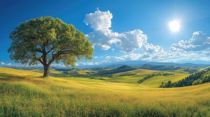 Fototapeta premium A vibrant, sun-drenched landscape with a solitary tree.