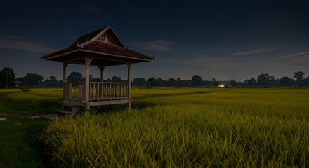 Fototapeta premium Serene nighttime landscape featuring a traditional wooden gazebo in a vibrant rice field under a starry sky, evoking tranquility and natural beauty.