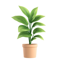 Houseplant in a pot, each leaf and the pot isolated on a white background
