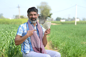 Indian farmer showing indian rupees at green wheat field © Pix4Ads