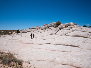 Unique sandstone formation in white pocket, vermilion cliffs national monument, arizona, USA.